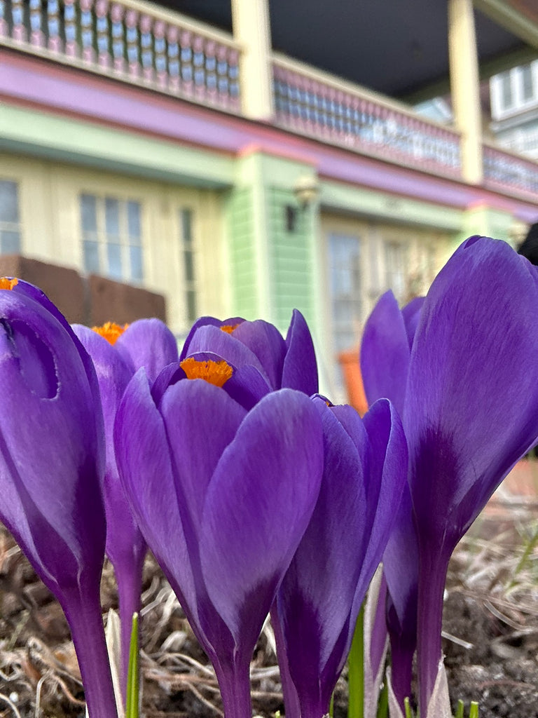 Spring on Mackinac Island