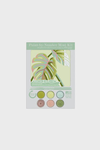 Monstera Paint By Numbers Mini Kit