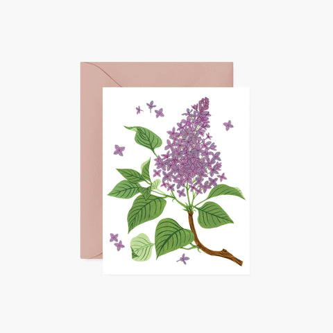 Lilac Greeting Card OB